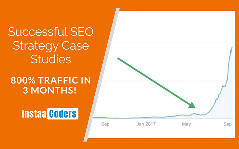 Search Engine Optimization Case Study Report for WeeTracker.com